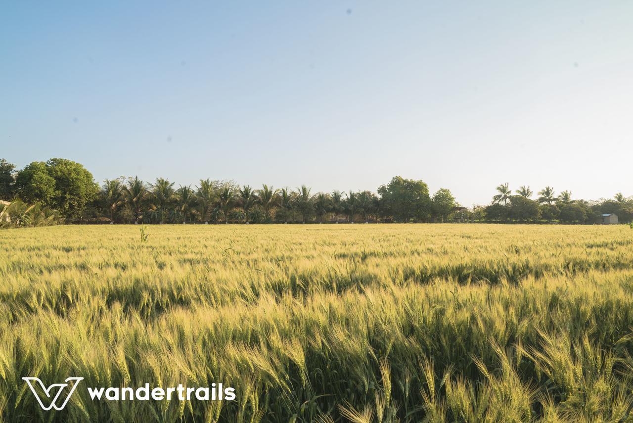 Lookout Villa - A Wandertrails Stay Sasan Gir Buitenkant foto